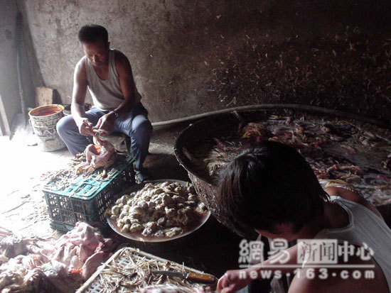 Kinh hoàng món ăn, thuốc bổ made in Trung Quốc 20110821150436_ga 1